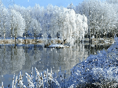 iarna peisaj imagine animata